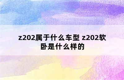 z202属于什么车型 z202软卧是什么样的